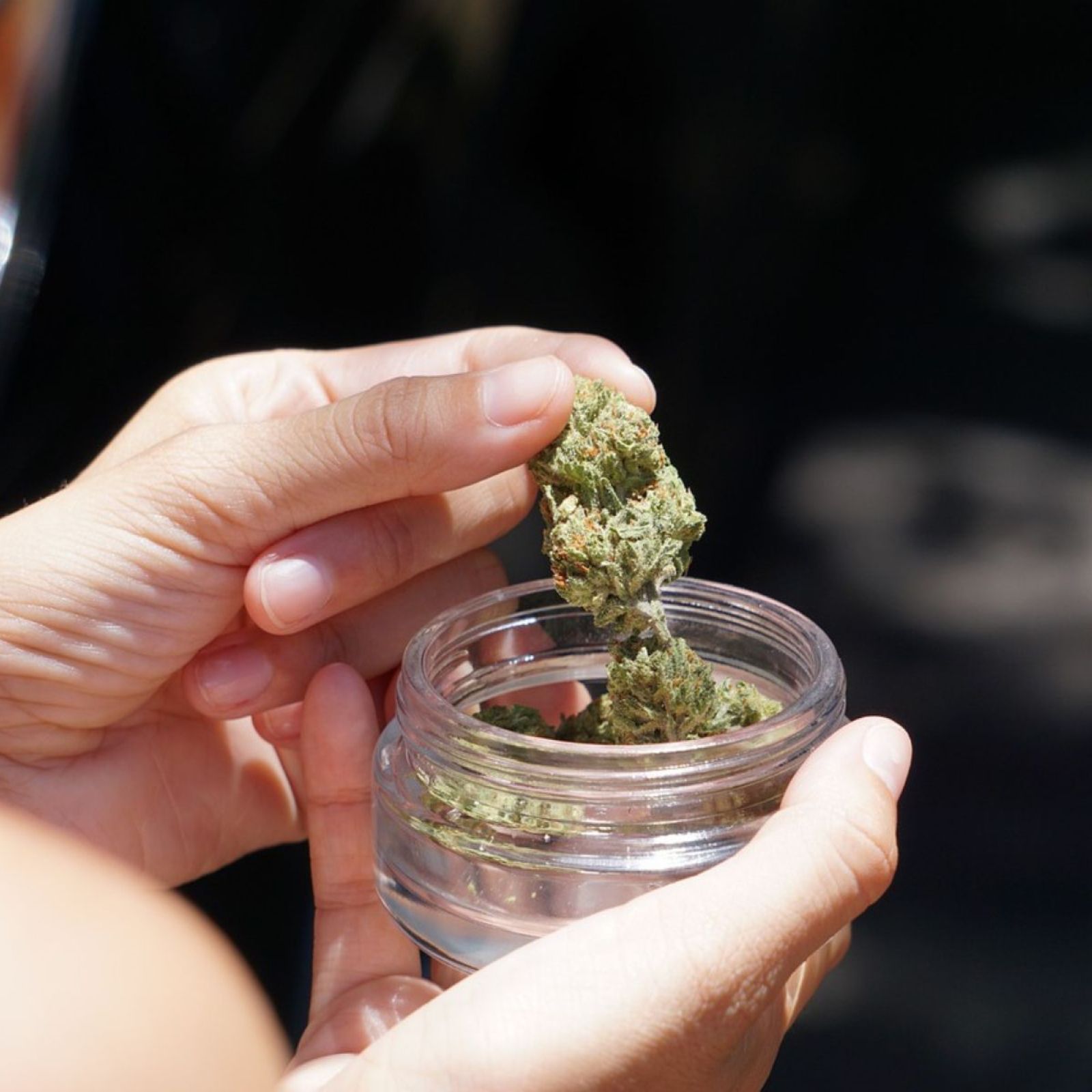 jar of cannabis flower