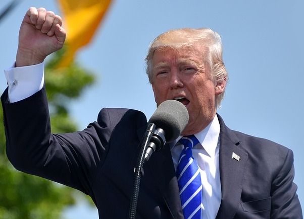 Donald Trump Fist Up