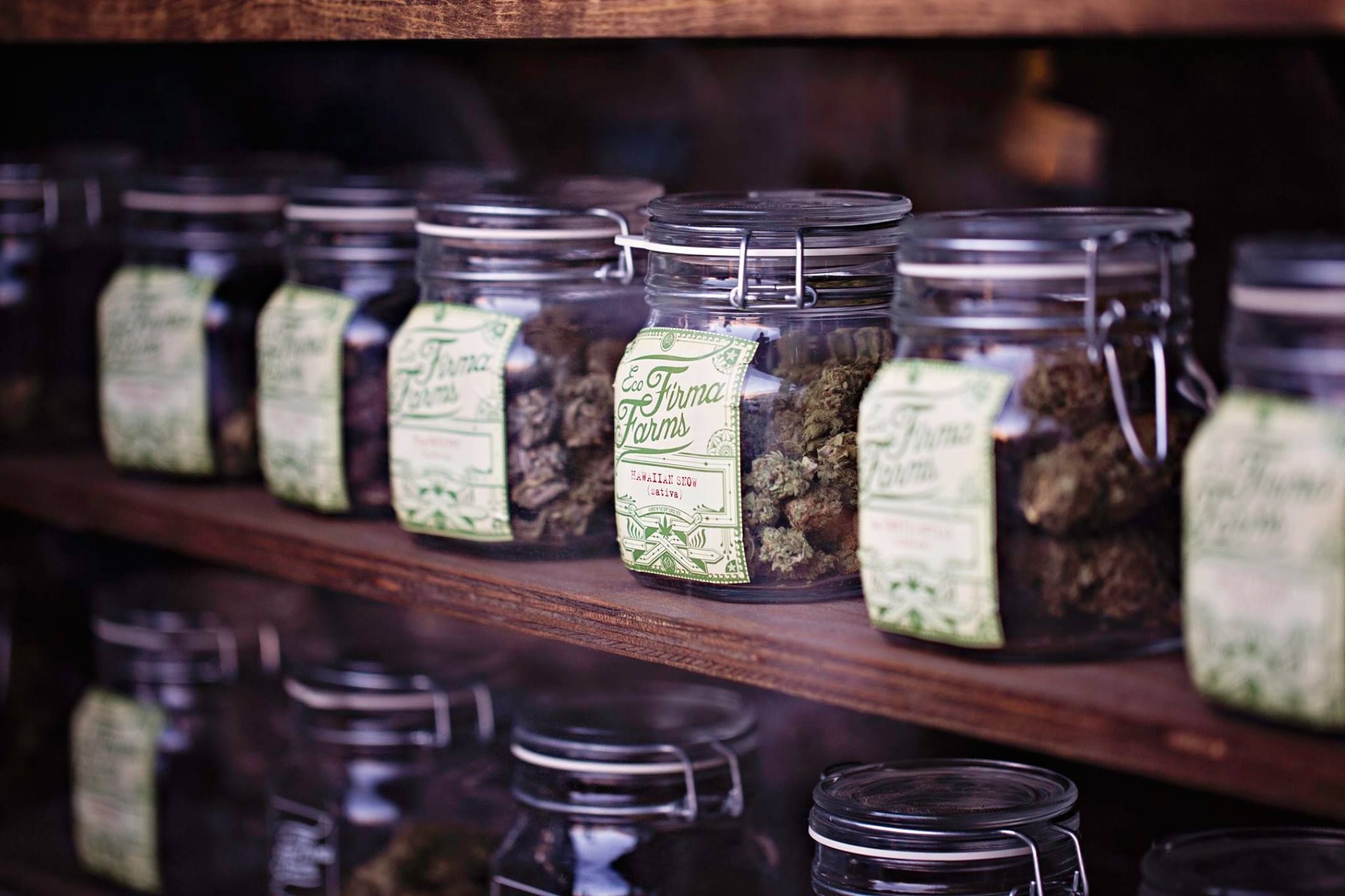 Eco Firma Farms