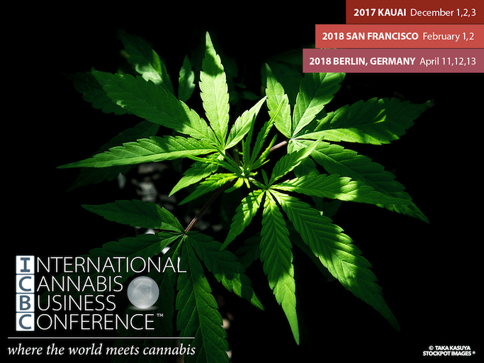 Cannabis Plant StockPot