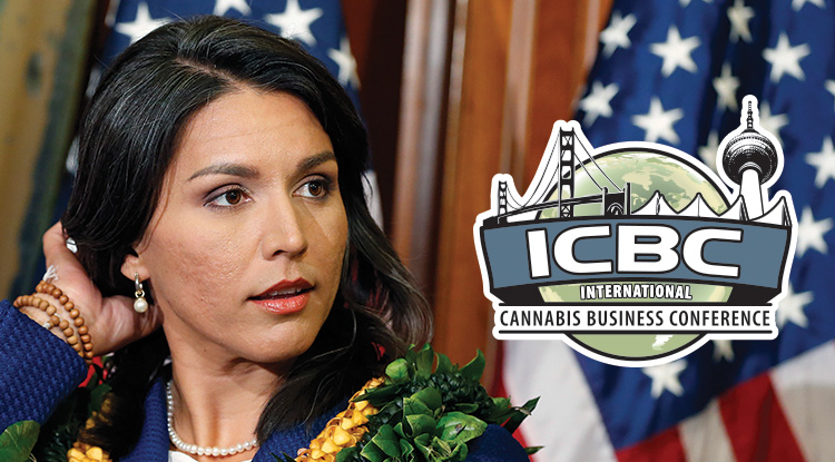Representative Tulsi Gabbard