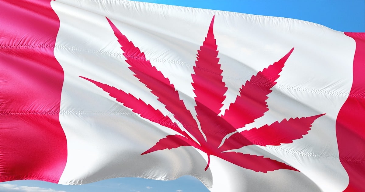 Canadian flag cannabis leaf