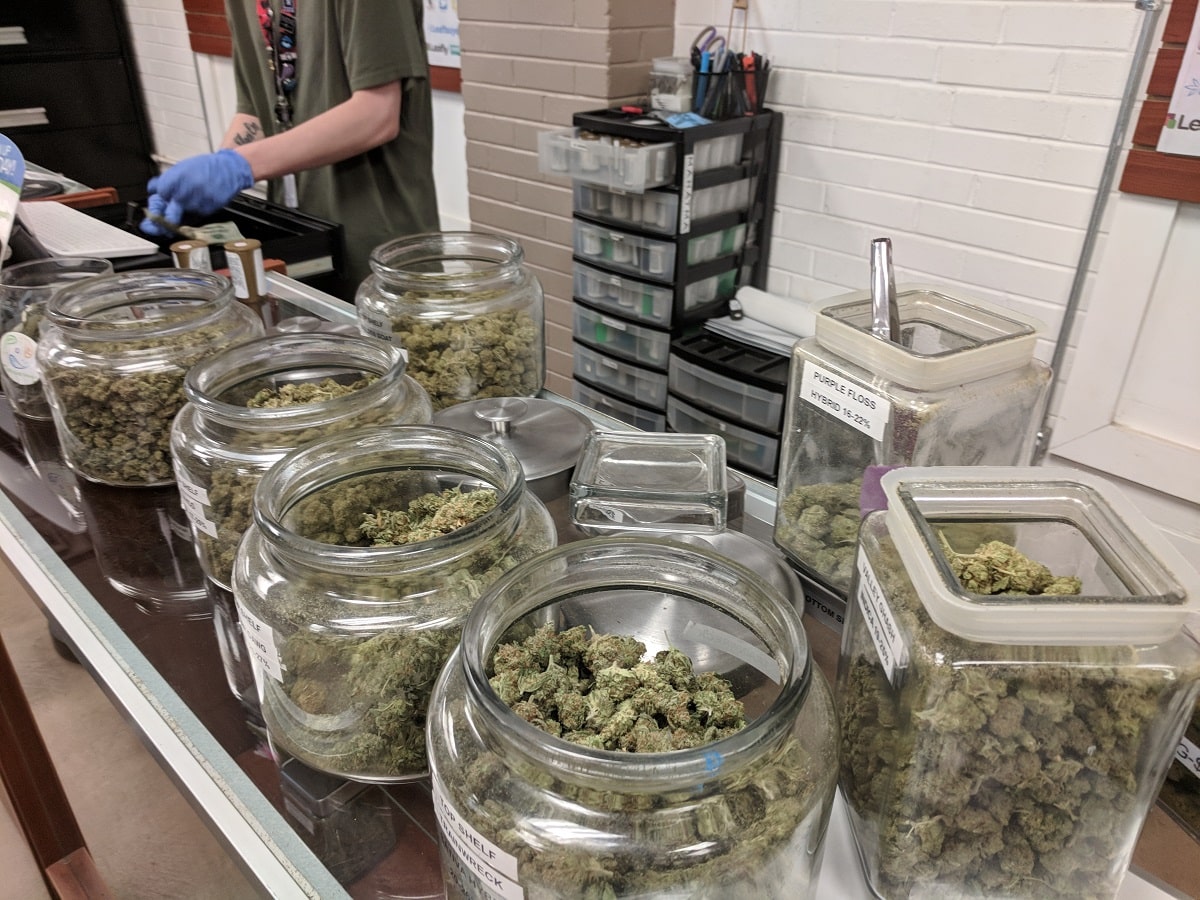 cannabis dispensary employee budtender