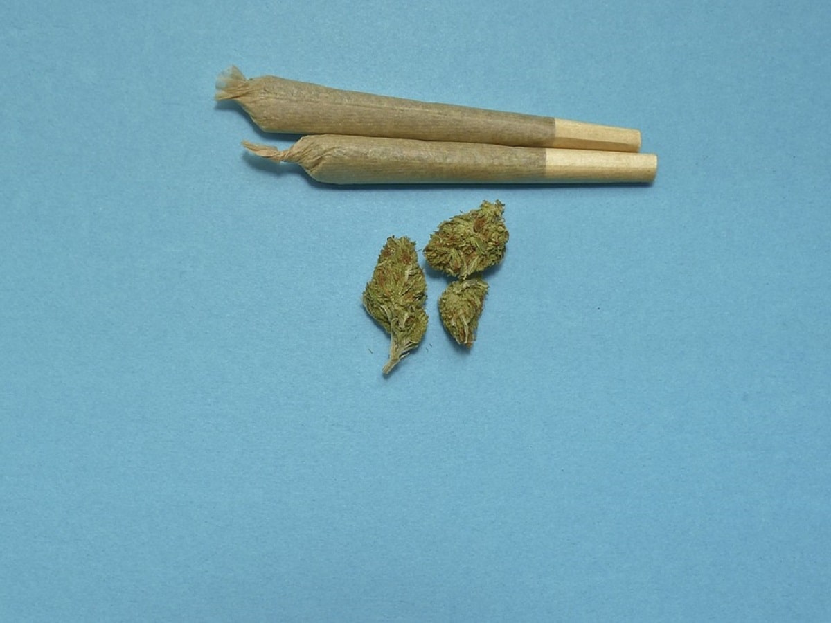Joints cannabis flower