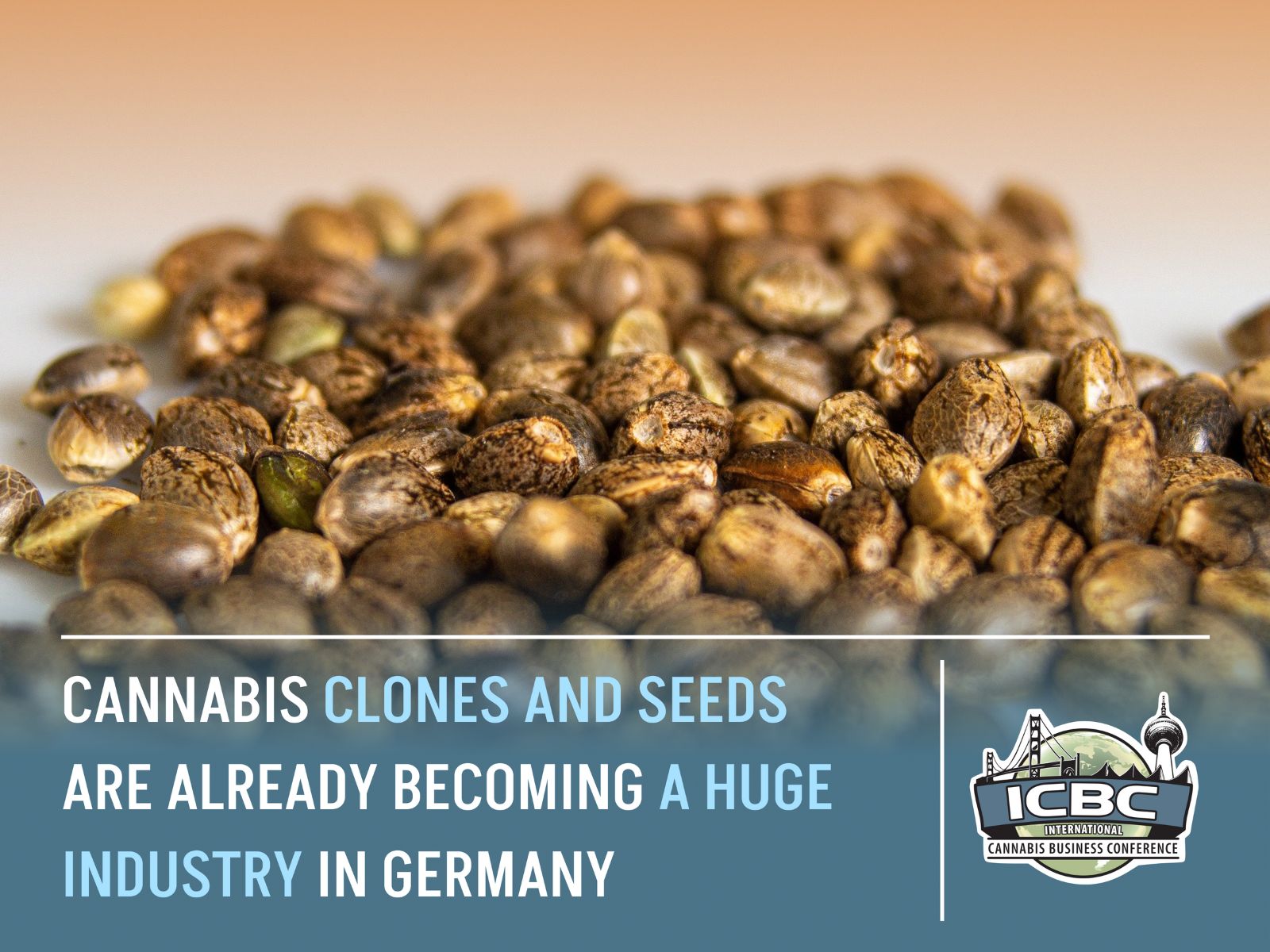 cannabis clones and seeds germany