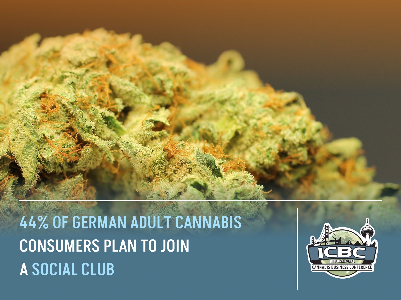 german cannabis clubs pronova bkk poll