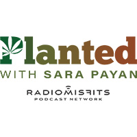 Planted with Sara Payan