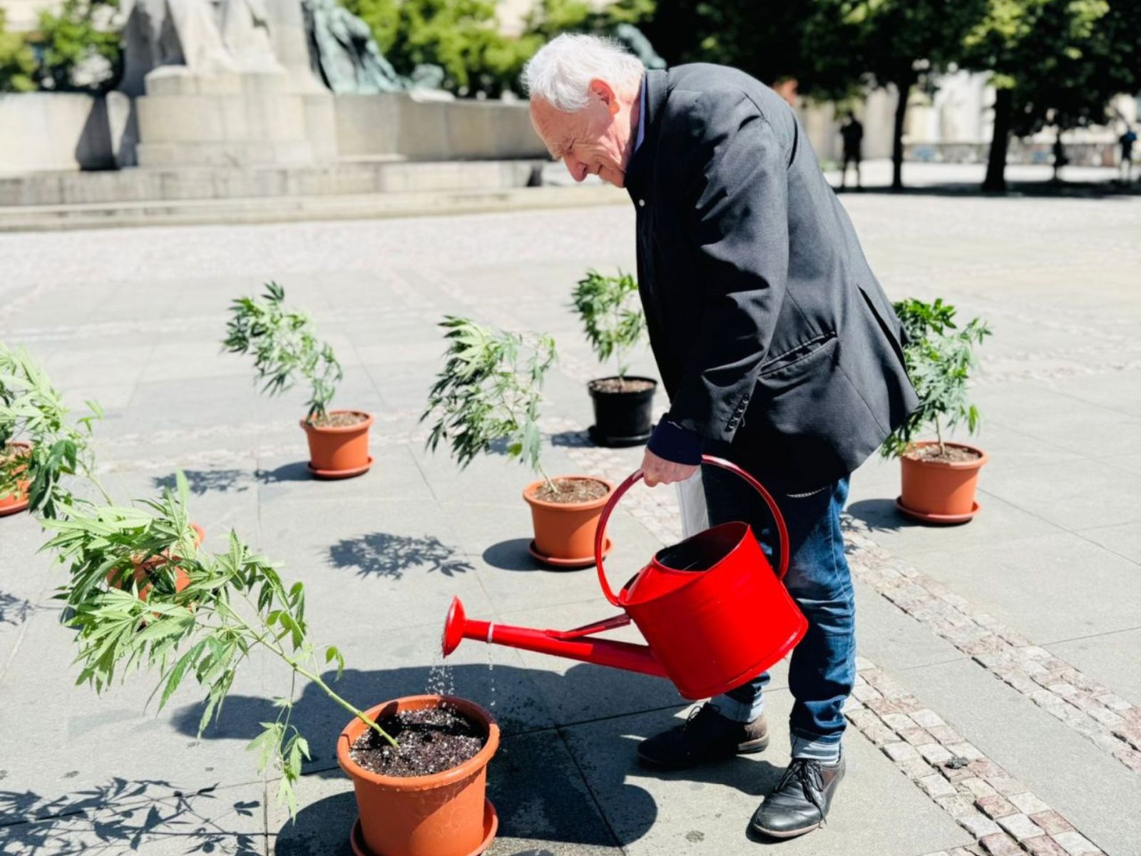 elderly man watering cannabis plants outside of the czech republic ministry of health in prague