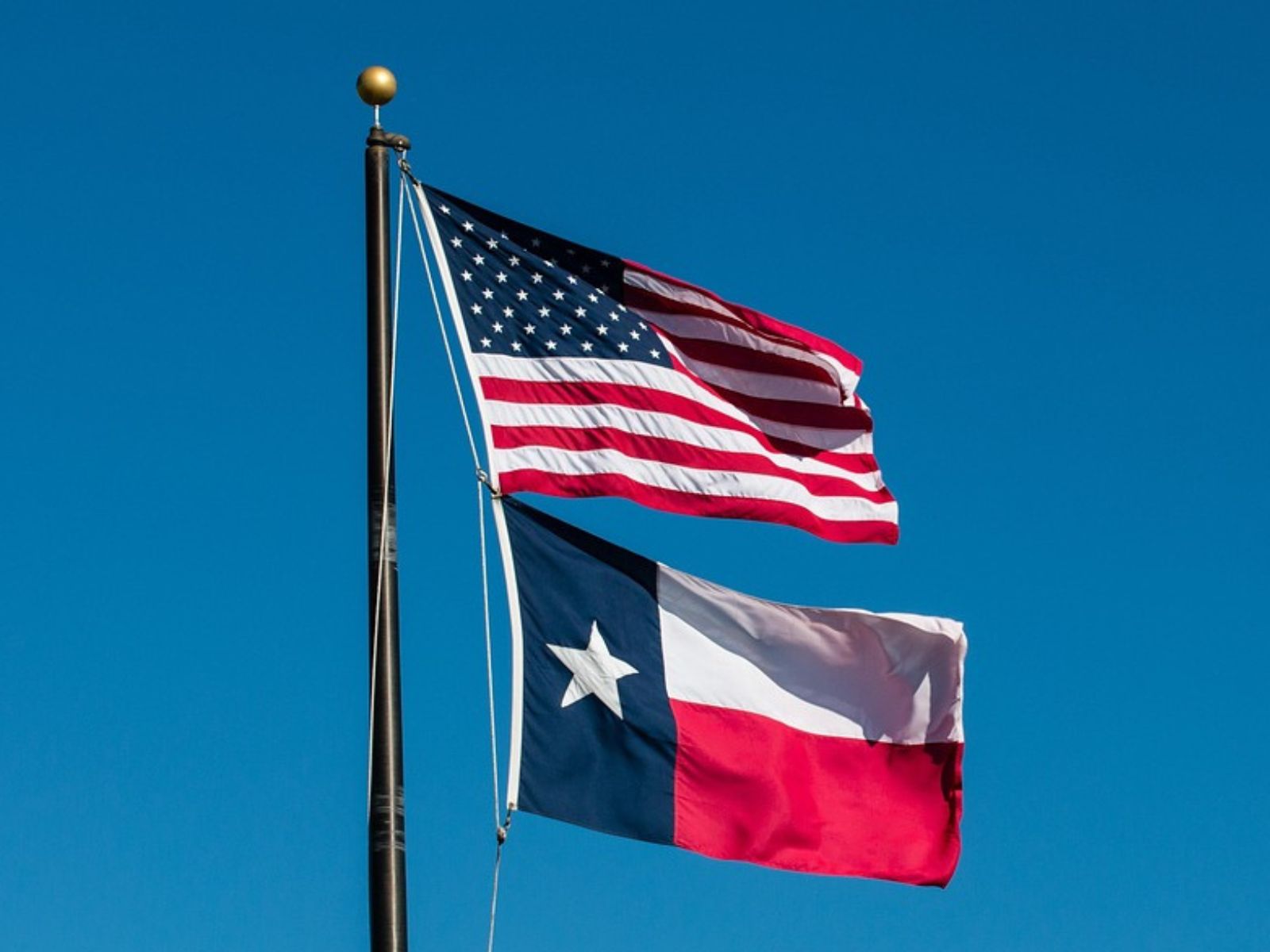 united states texas flag flags