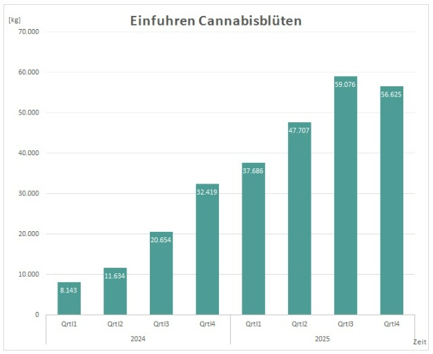 Germany medical cannabis import data 2024 and 2025