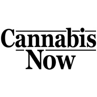 Cannabis Now