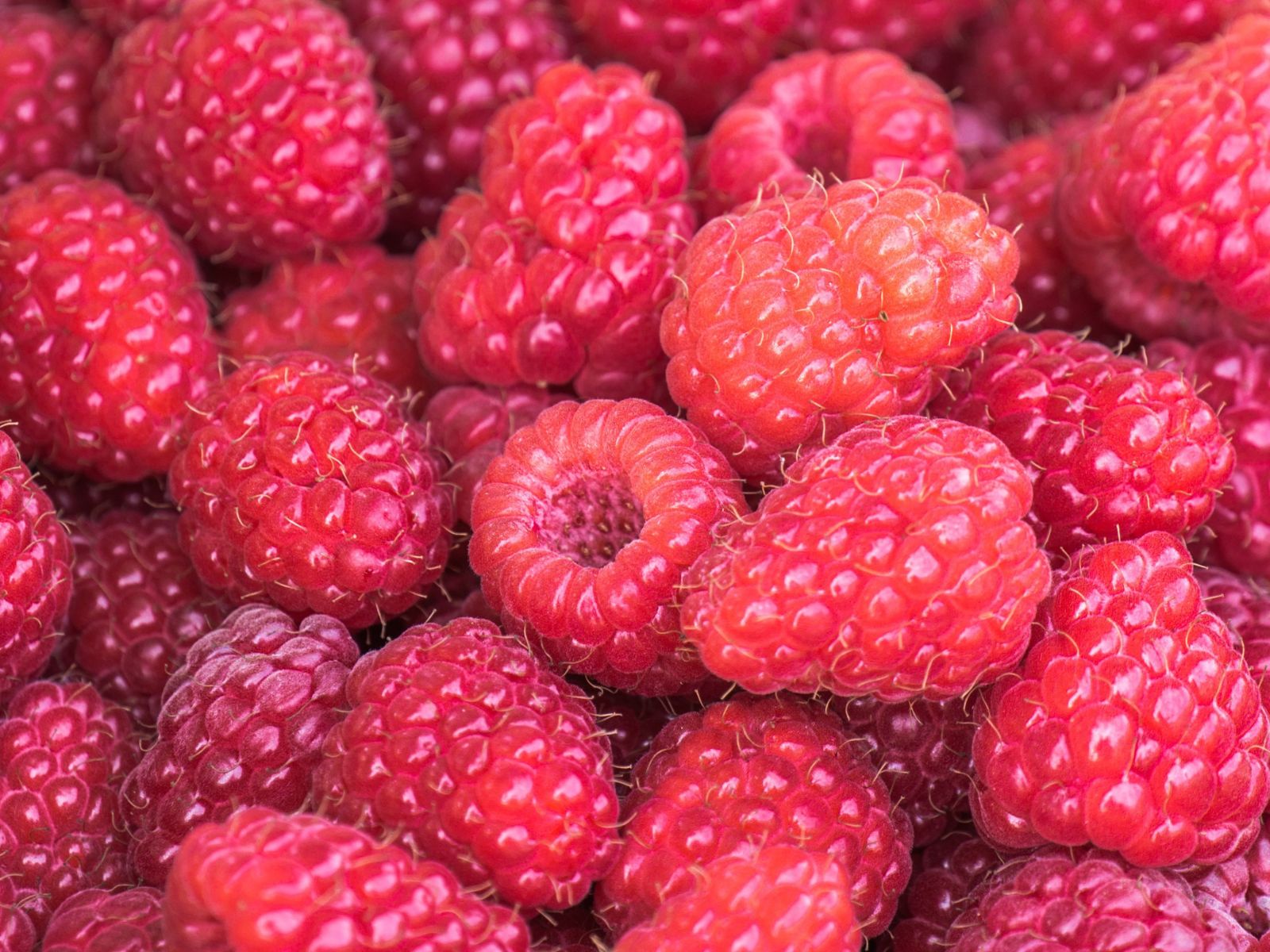 raspberries