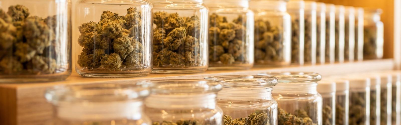 jars of cannabis flower