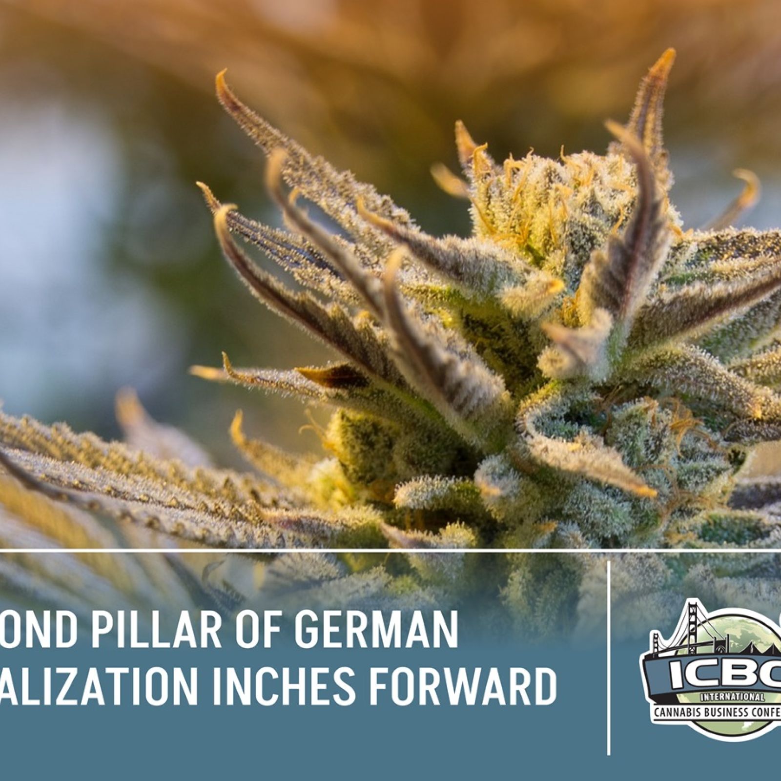 ICBC Article - Second Pillar Of German Legalization Inches Forward