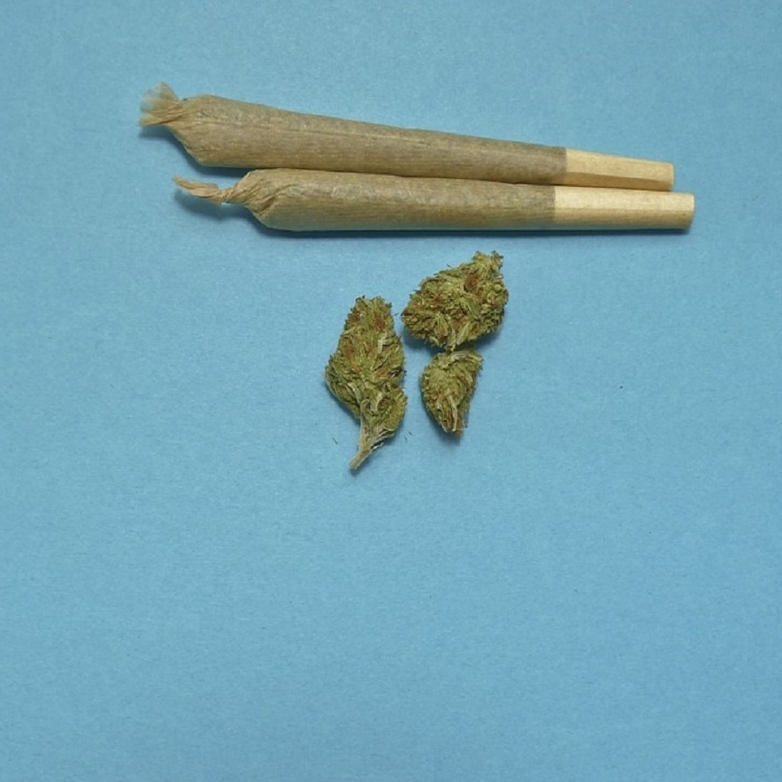Joints cannabis flower