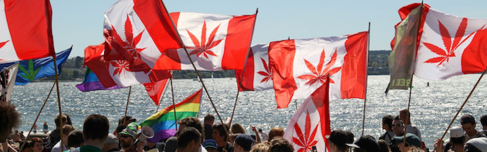 Canada Global Cannabis March