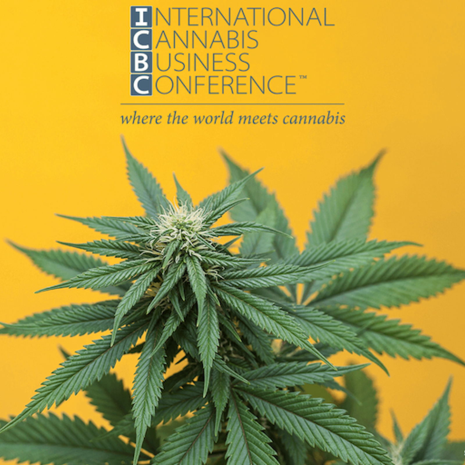 Cannabis Plant ICBC Logo