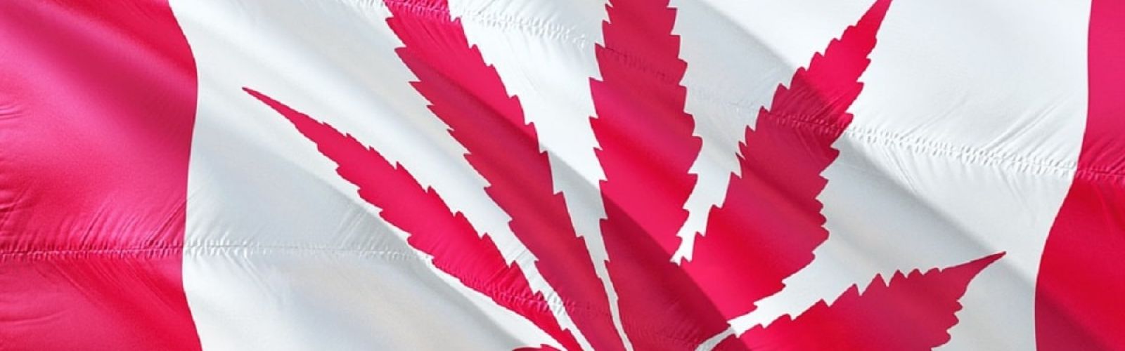 canada cannabis flag