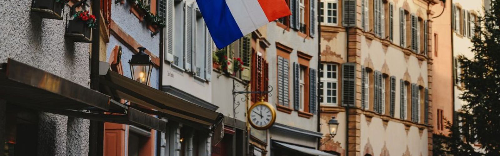 The Netherlands Flag