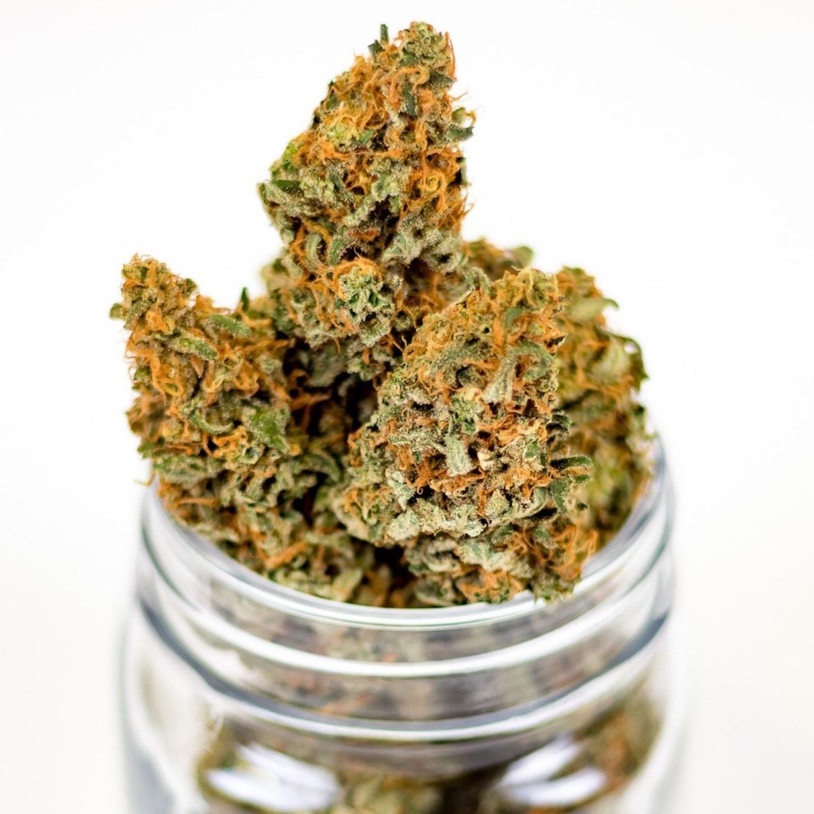 cannabis flower bud buds jar