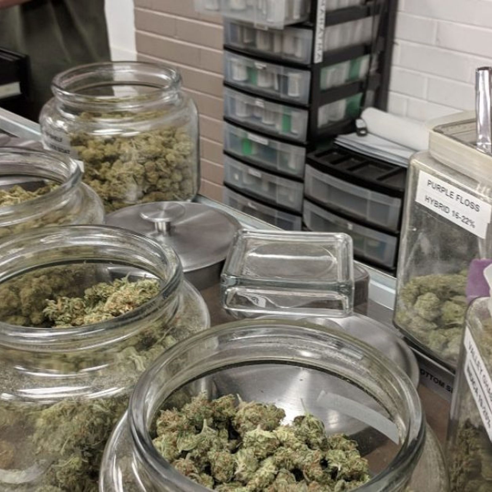 cannabis dispensary employee budtender