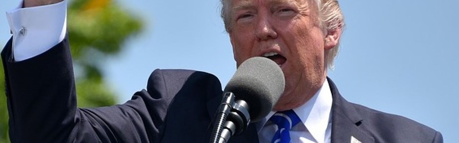 Donald Trump Fist Up