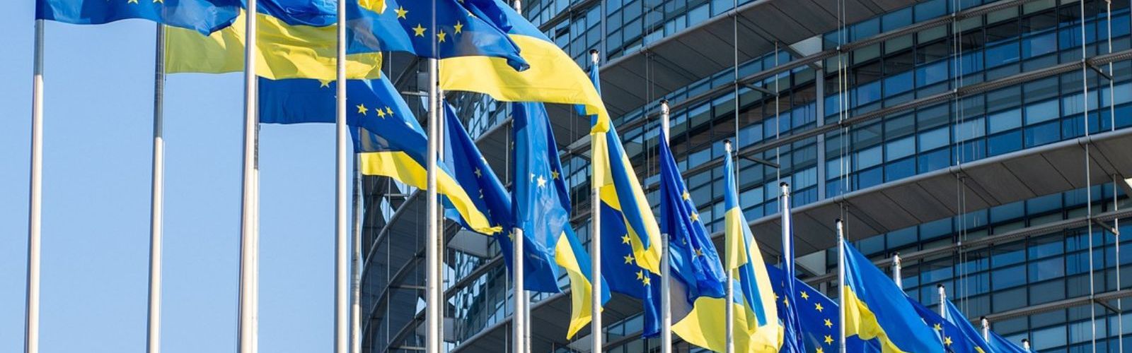 eu european union ukraine flag flags