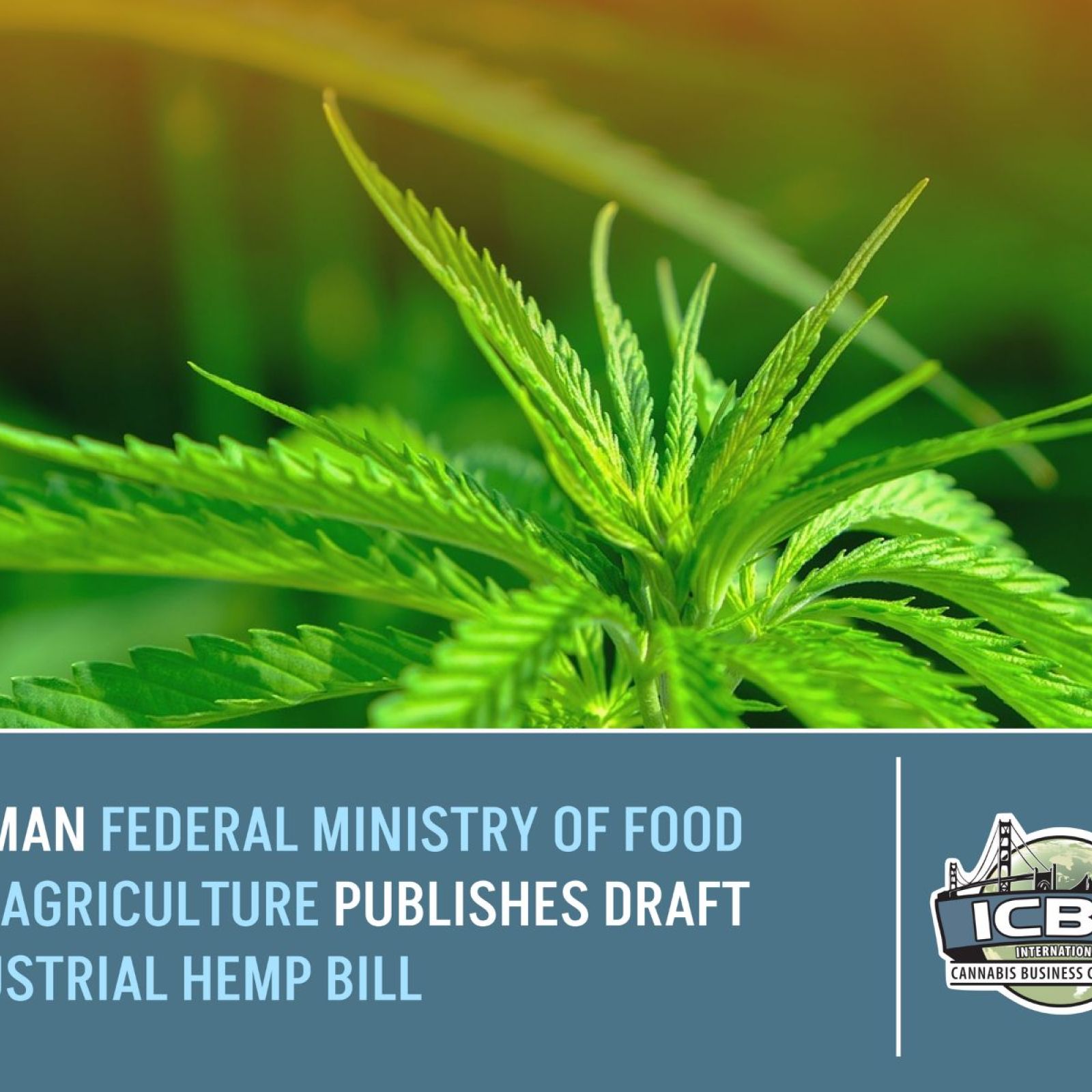 german hemp bill 2024