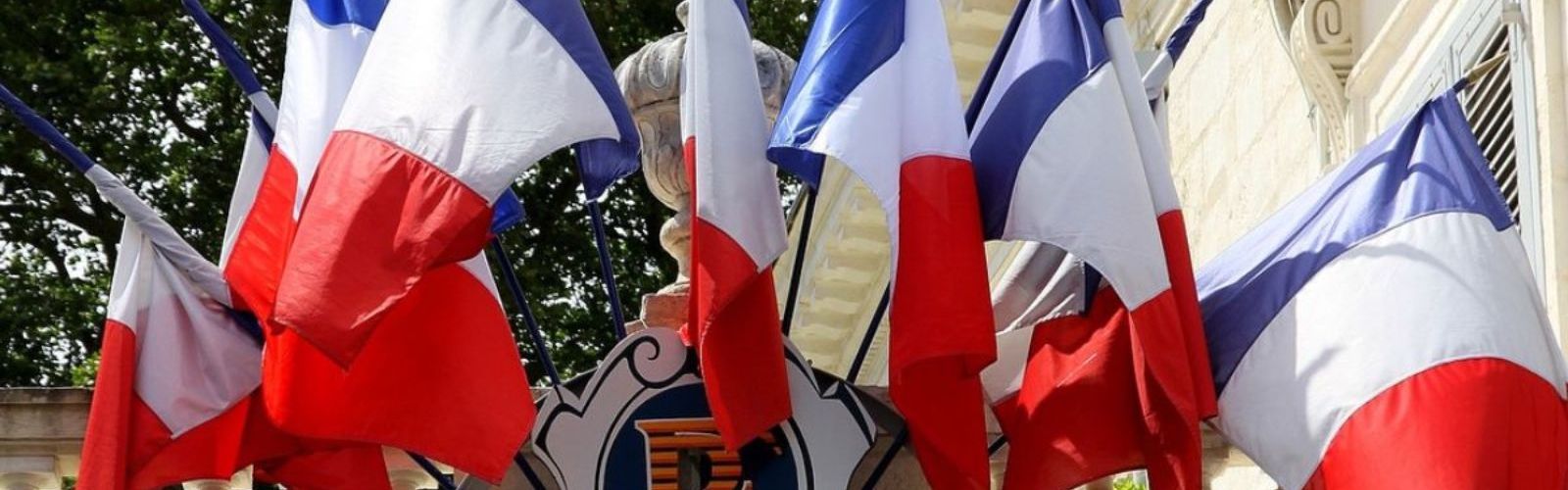 france french flags