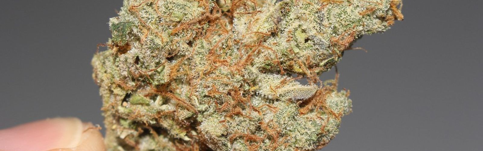 cannabis flower nug bud