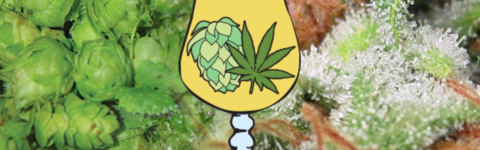 Big Alcohol and canabis