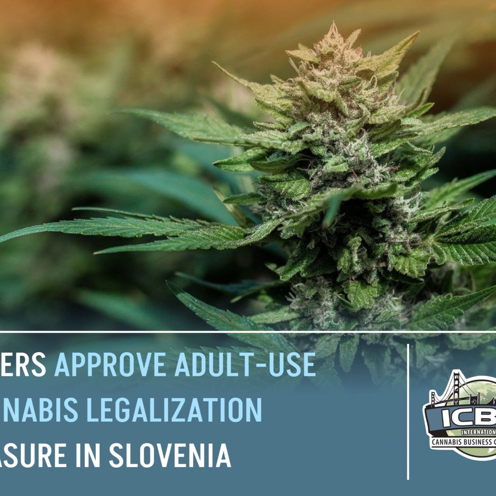 adult use cannabis legalization vote slovenia