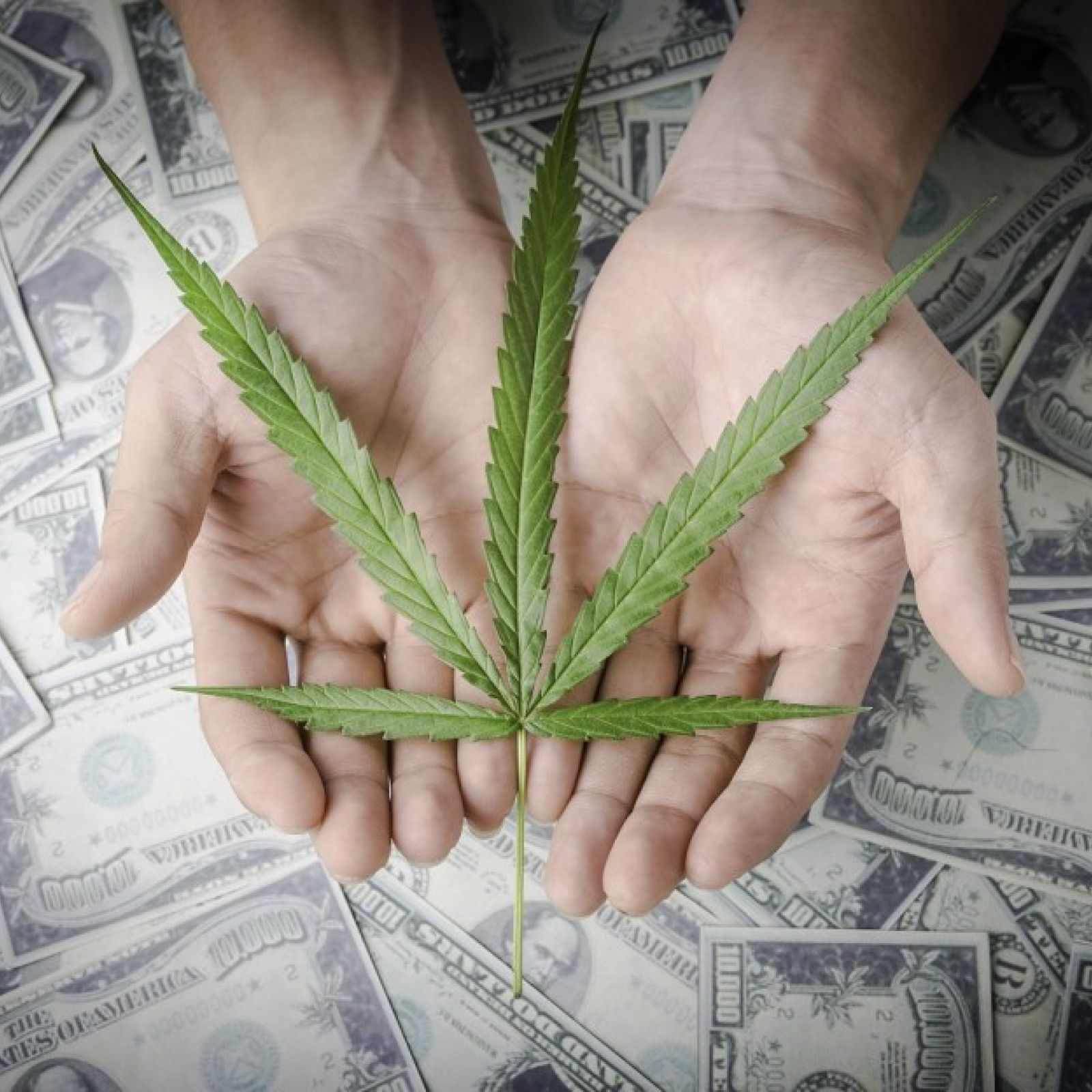 Cannabis money