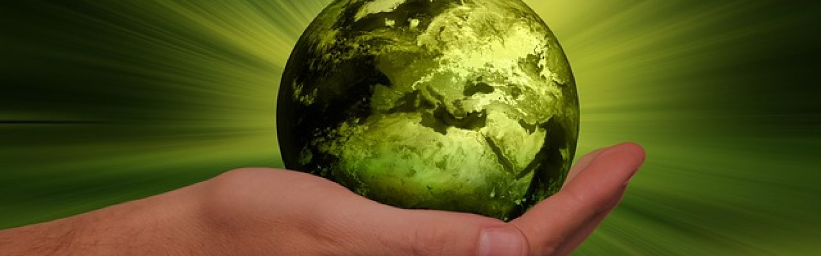 International Business