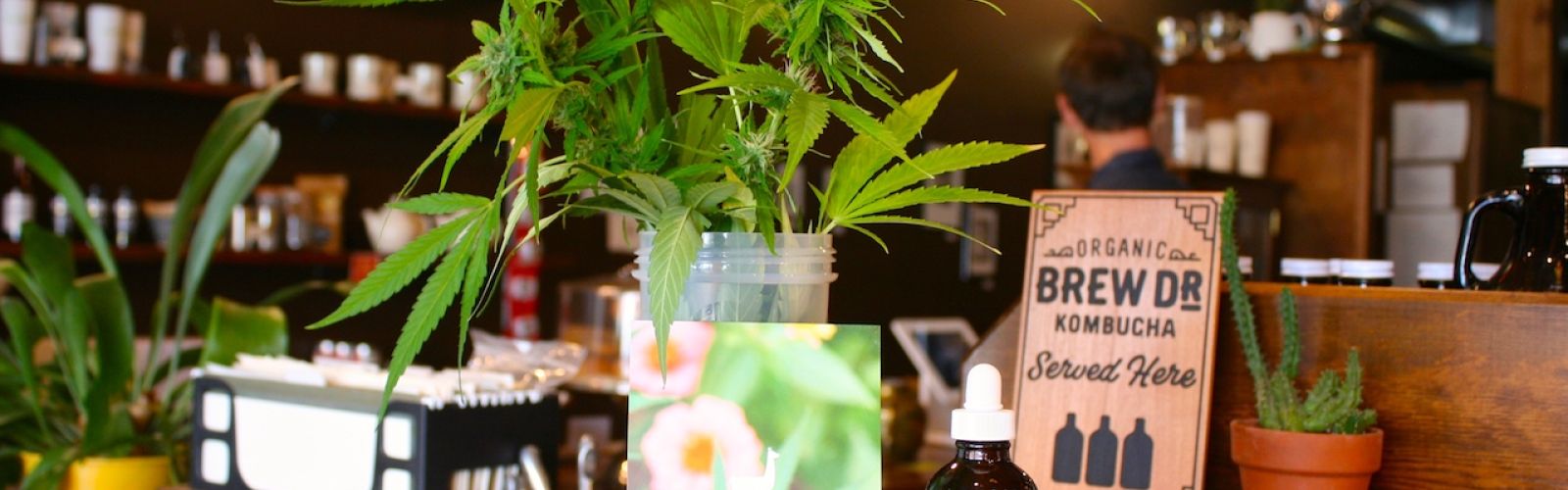 East Fork and Townshends