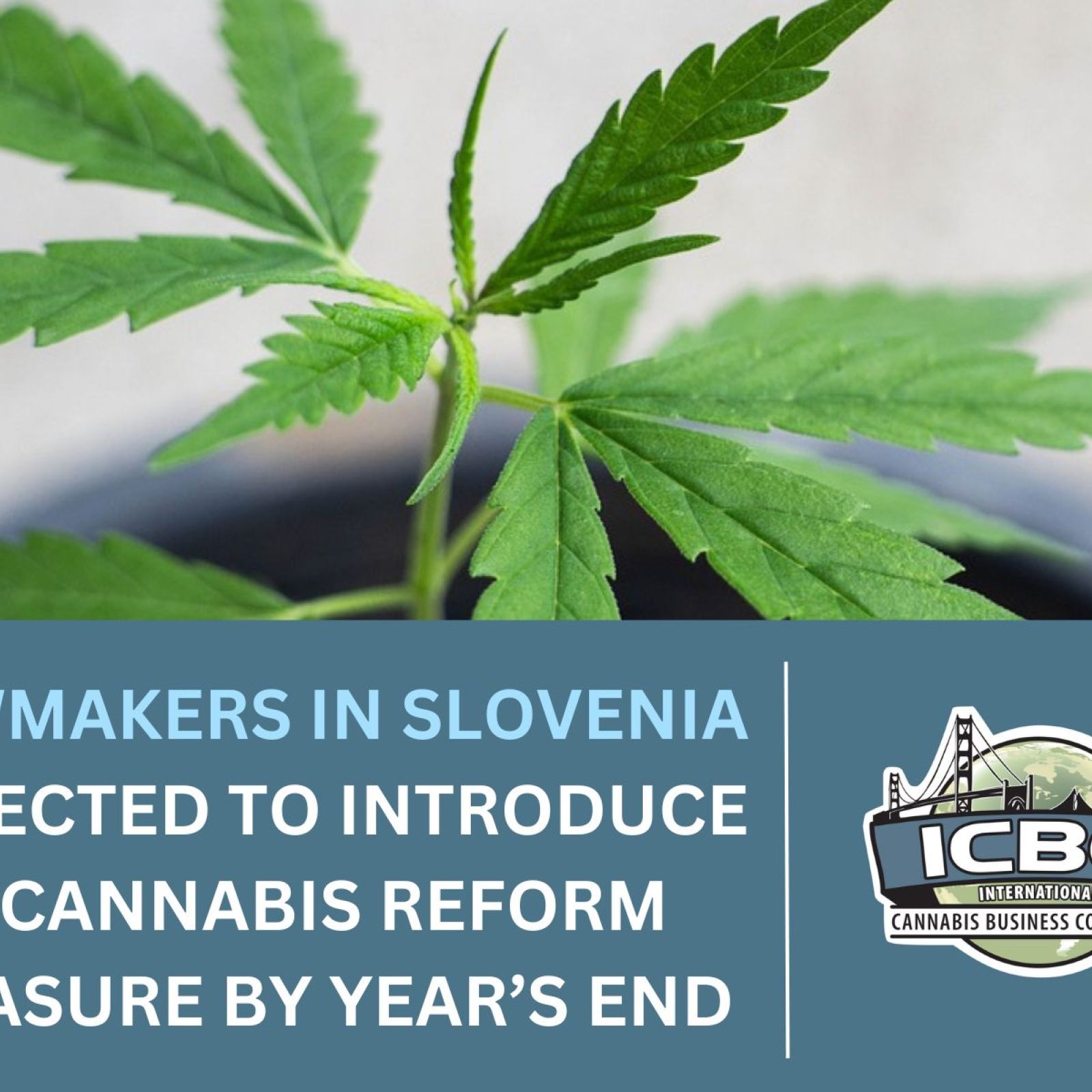 ICBC Featured Image Template (7)