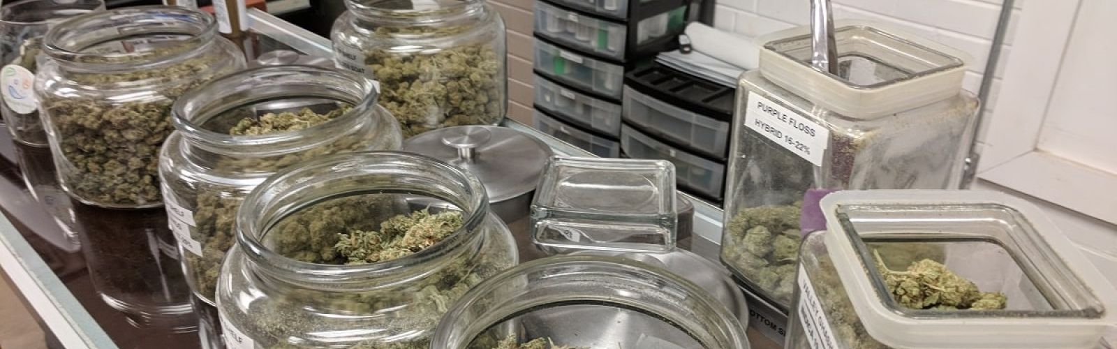 cannabis dispensary employee budtender