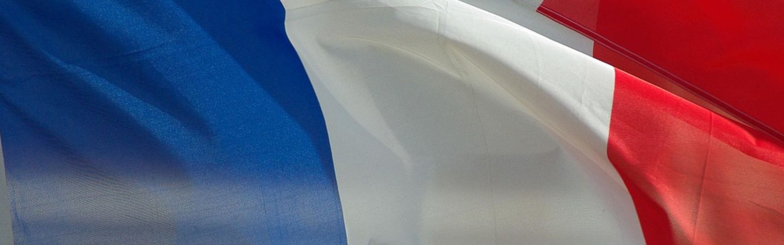 french france flag