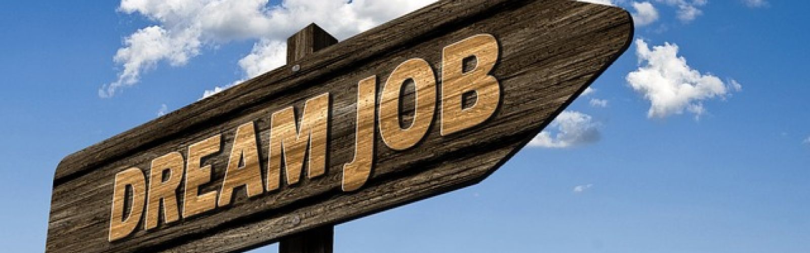 Job search