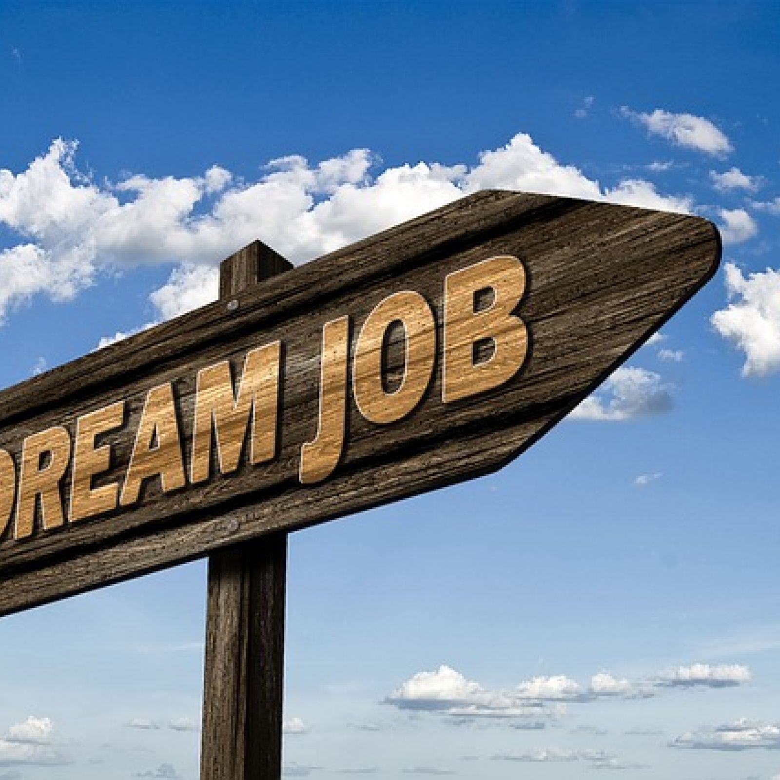 Job search