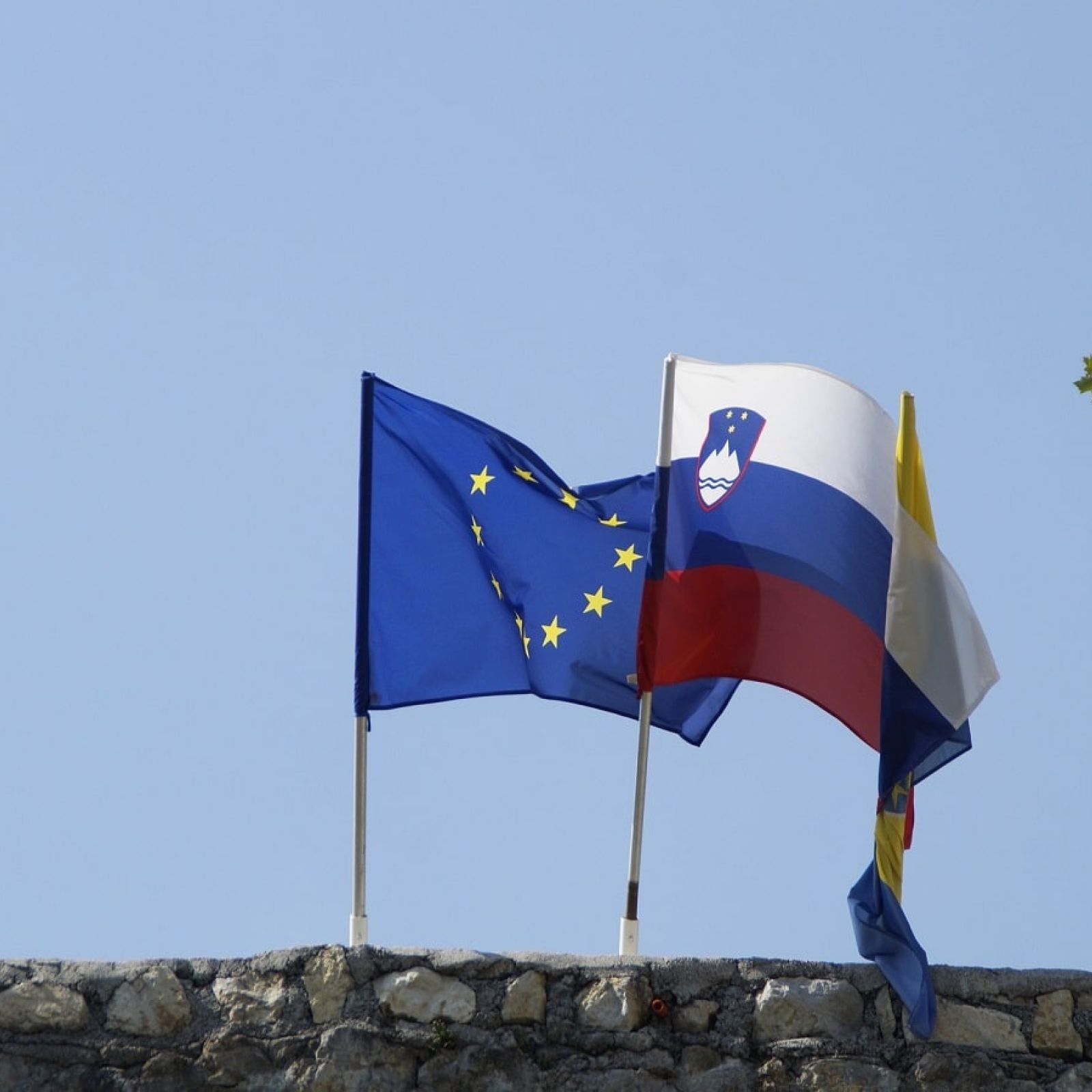 slovenia flag eu european union flag