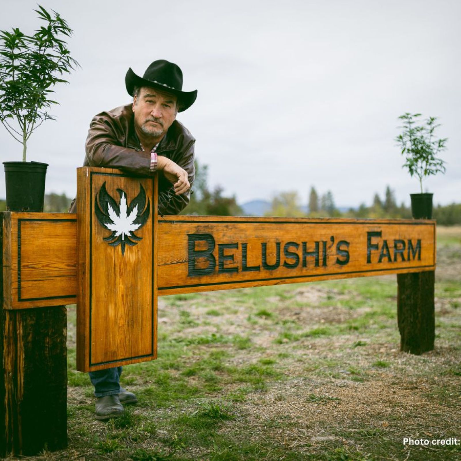 Jim Belushi Belushi's Farm