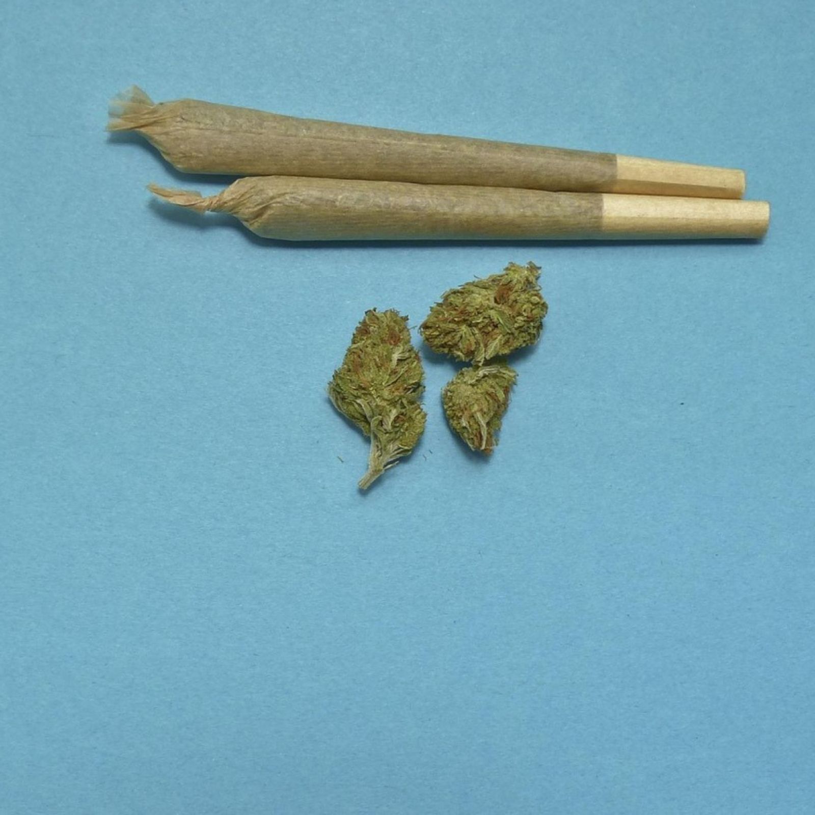 cannabis joints flower buds