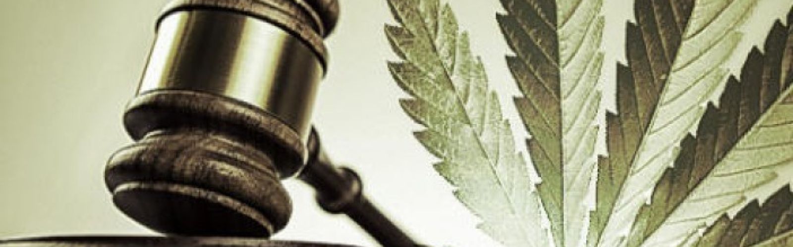 Marijuana Justice