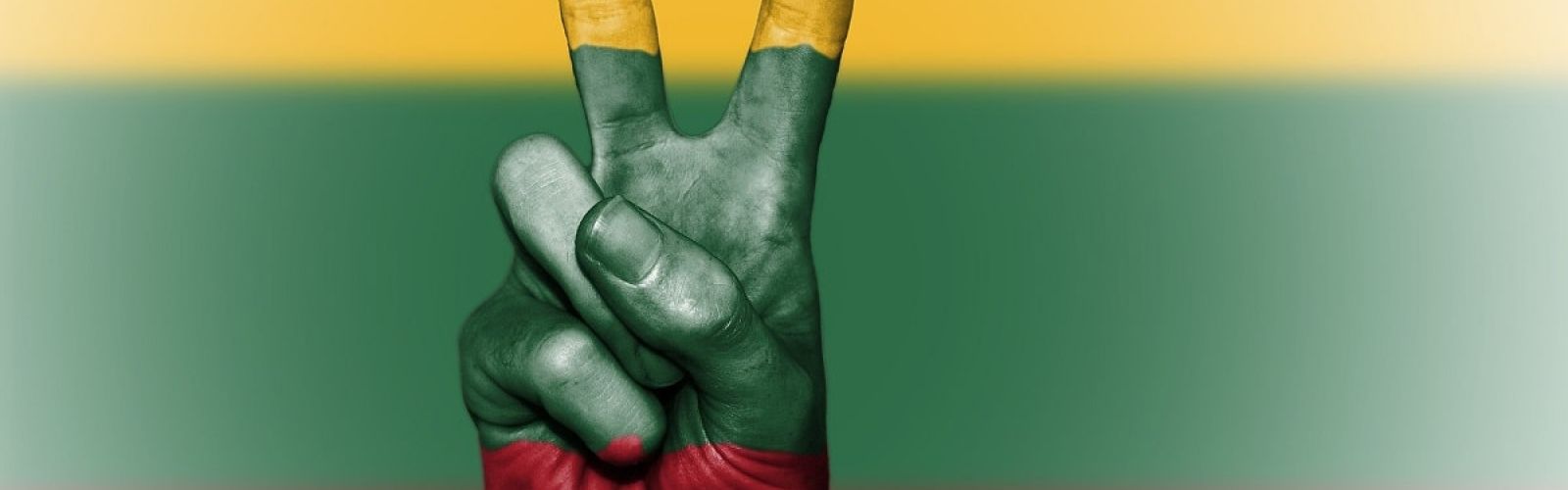 lithuania flag