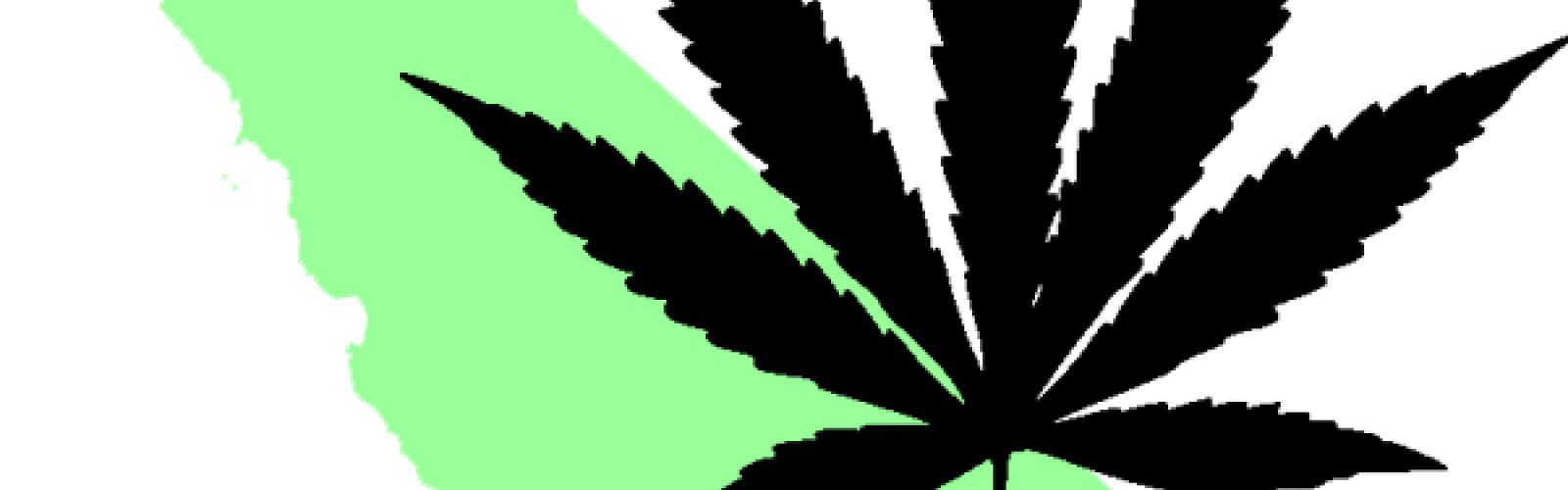 California cannabis