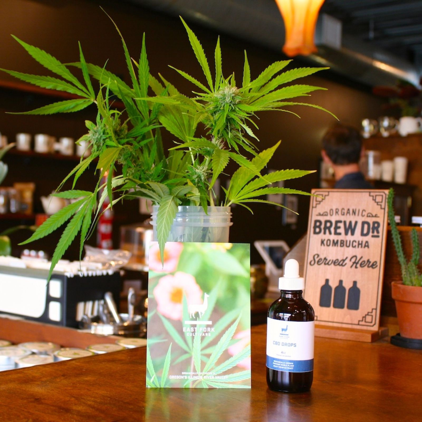 East Fork and Townshends