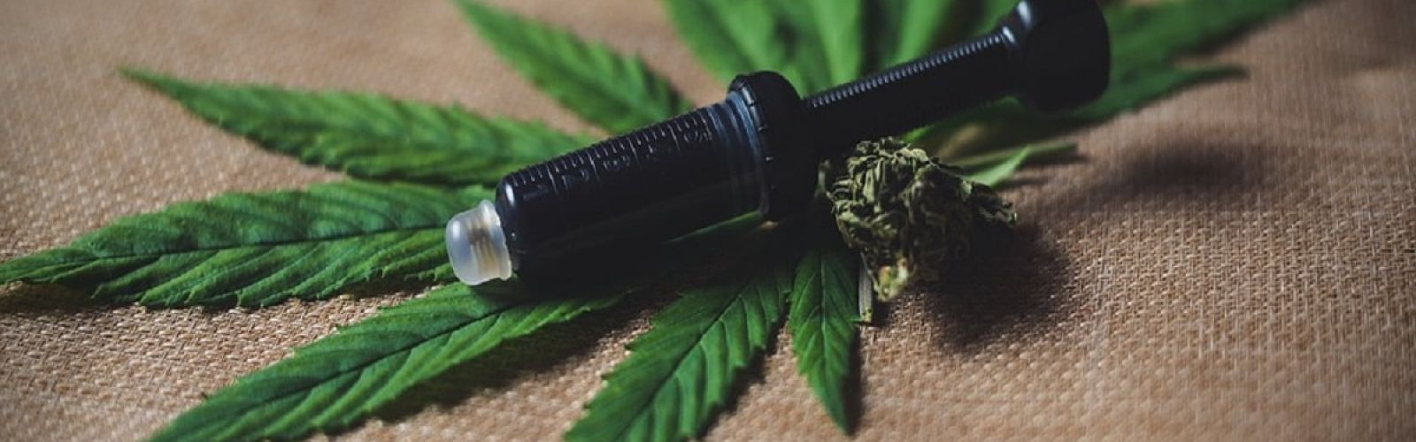 cannabis extracts rick simpson oil concentrates-min