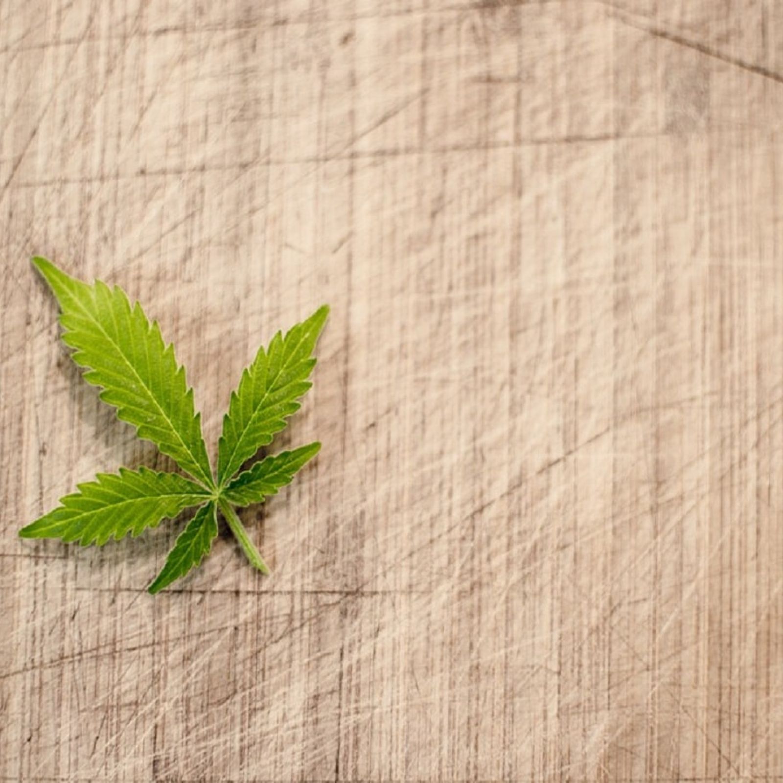 medical cannabis marijuana