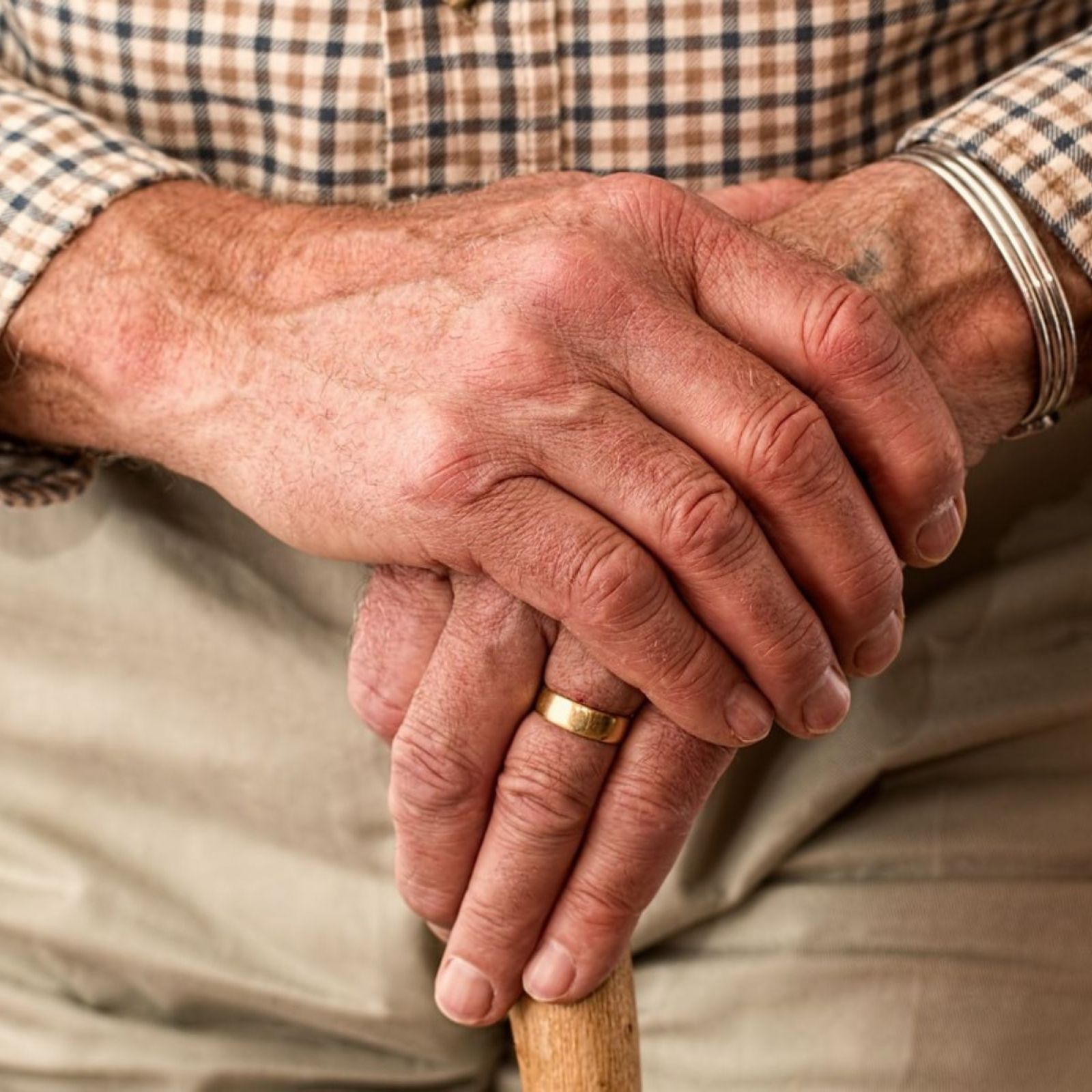 senior citizen elderly